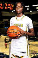 NIMITZ_GBB-0343-(BROWN)