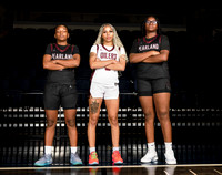 PEARLAND_GBB-530-(POWELL)