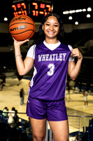 WHEATLEY_GBB-0263-(BROWN)