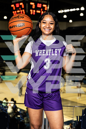 WHEATLEY_GBB-0263-(BROWN)