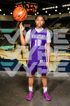 WHEATLEY_GBB-0267-(BROWN)