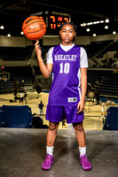WHEATLEY_GBB-0268-(BROWN)