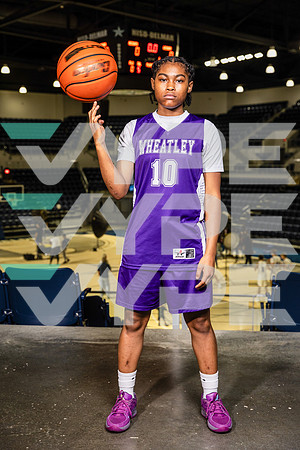 WHEATLEY_GBB-0268-(BROWN)
