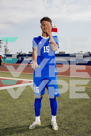 ALDINE_SOC-(BROWN)-614
