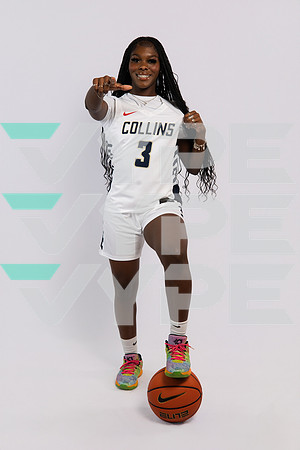 KLEIN_COLLINS_4848-(BROWN)