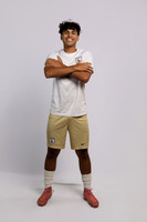 KLEIN_COLLINS_5331-(BROWN)