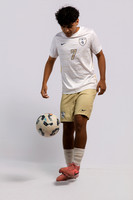 KLEIN_COLLINS_5336-(BROWN)