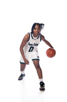 IOWA_COLONY__00013-(COLLIER)
