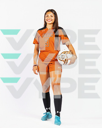 ALVIN_HS_273-(POWELL)