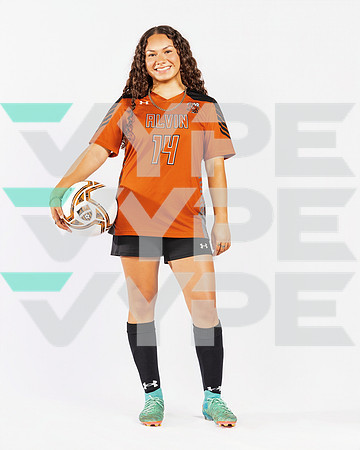 ALVIN_HS_295-(POWELL)