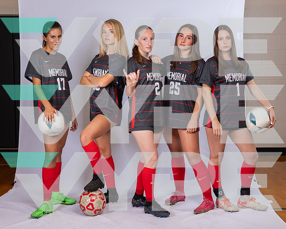 MEMORIAL_HS-(BROWN)-280