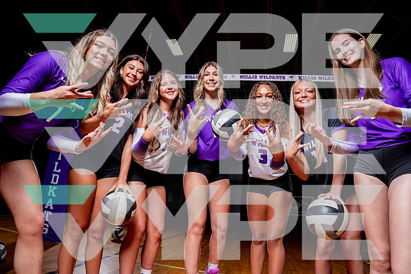WILLIS_VB-(COLLIER)-9