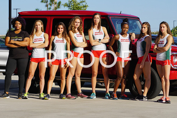 Vype - 20