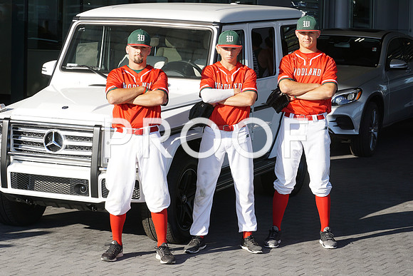 Vype - 33