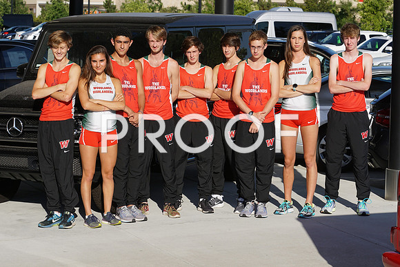 Vype - 24