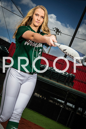 The Woodlands - Amanda Curran