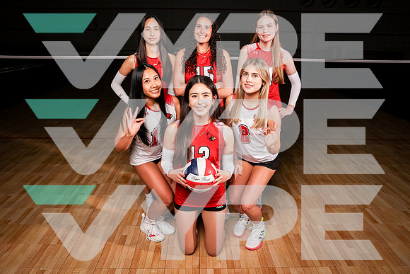 BELLAIRE_VB_0F9A7950-(BROWN)