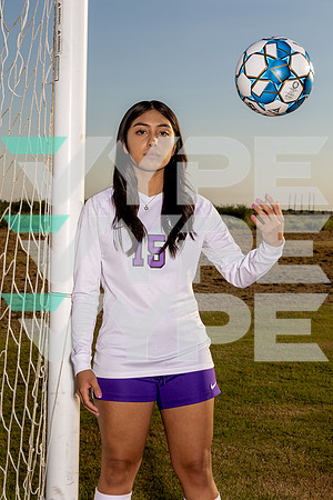 FULSHEAR_GSOC_Joanna Guevara-(BROWN)
