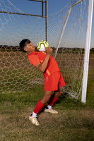 TERRY_SOC_-(BROWN)-6