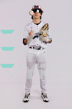 MANVEL_BB_0346-(BROWN)