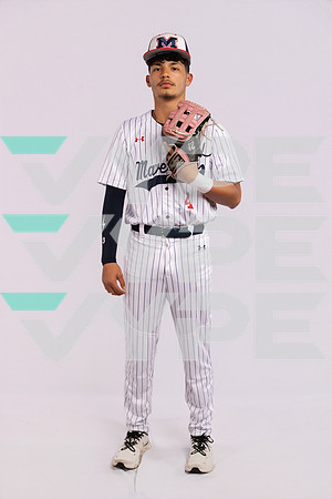 MANVEL_BB_0356-(BROWN)