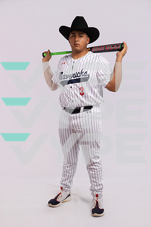 MANVEL_BB_0362-(BROWN)