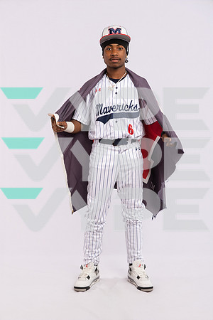 MANVEL_BB_0368-(BROWN)