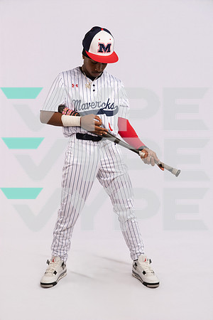 MANVEL_BB_0373-(BROWN)