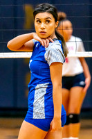 14-ALDINE_VB__-(BCC)
