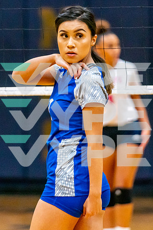14-ALDINE_VB__-(BCC)