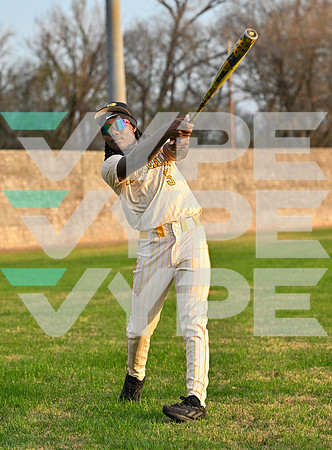 MARSHALL_BASEBALL_9633-(BECK)