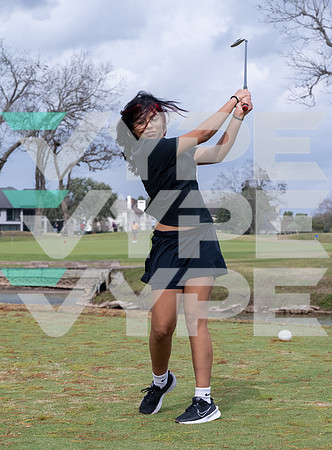 WILLOWRIDGE_GOLF_8442-(BECK)