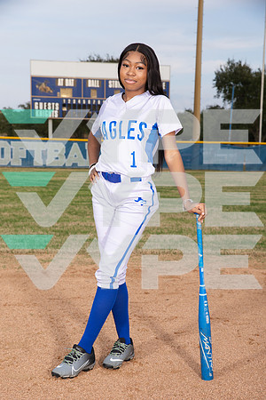 WILLOWRIDGE_SOFTBALL_1202-(BROWN)