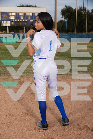 WILLOWRIDGE_SOFTBALL_1206-(BROWN)
