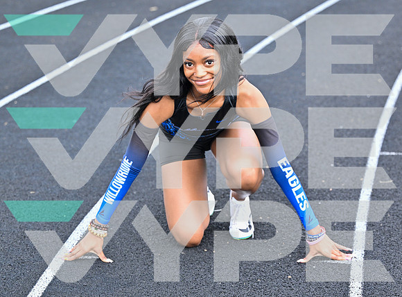 WILLOWRIDGE_TRACK_8794-(BECK)
