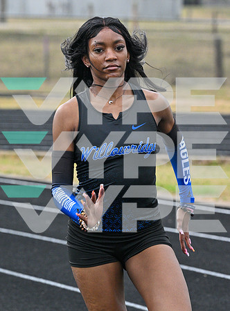 WILLOWRIDGE_TRACK_8816-(BECK)