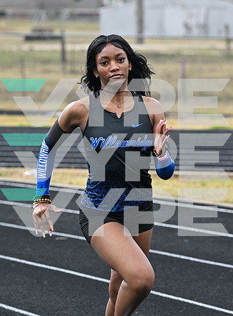WILLOWRIDGE_TRACK_8815-(BECK)