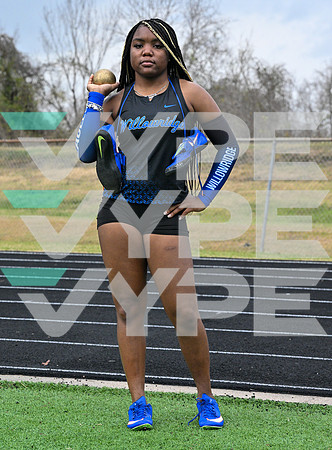 WILLOWRIDGE_TRACK_8841-(BECK)