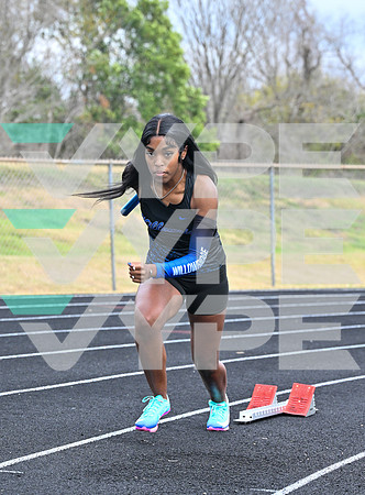 WILLOWRIDGE_TRACK_8854-(BECK)