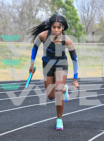 WILLOWRIDGE_TRACK_8856-(BECK)