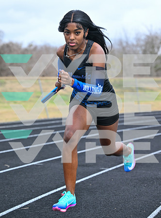 WILLOWRIDGE_TRACK_8859-(BECK)
