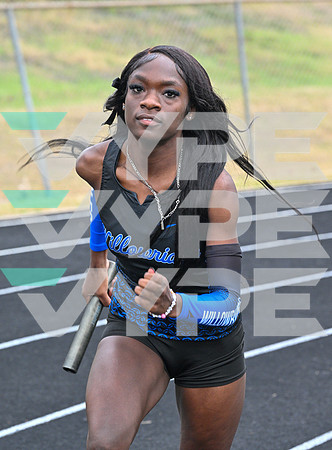 WILLOWRIDGE_TRACK_8872-(BECK)