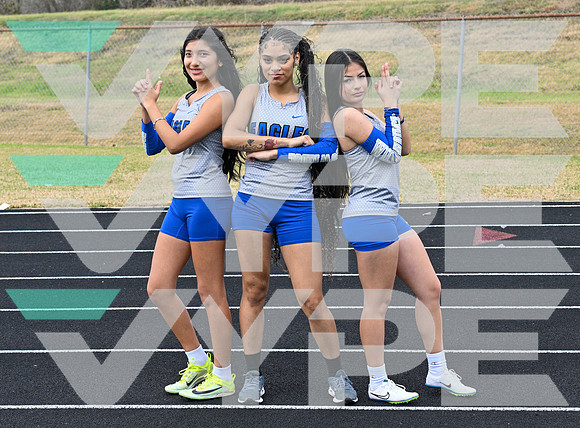 WILLOWRIDGE_TRACK_8875-(BECK)