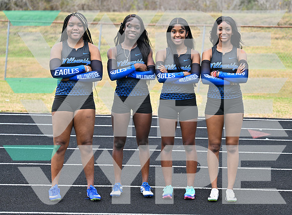 WILLOWRIDGE_TRACK_8882-(BECK)