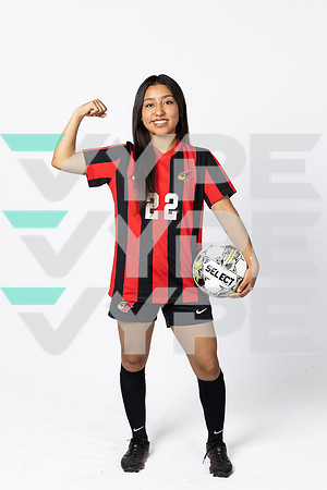 DEL_VALLE_GS_201-(ANDERSON)