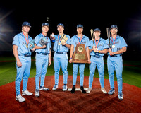 KINGWOOD_BSBL_01820-(COLLIER)