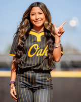 KLEIN_OAK_358-(POWELL)