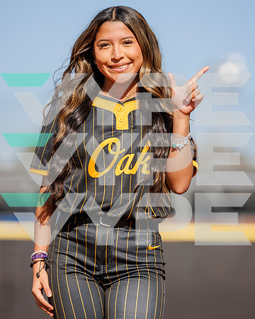 KLEIN_OAK_358-(POWELL)