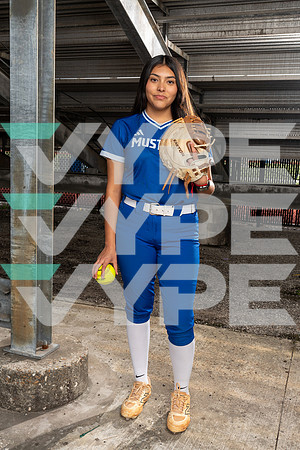 ALDINE_SFBL_00762-(COLLIER)