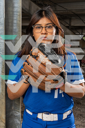 ALDINE_SFBL_00774-(COLLIER)